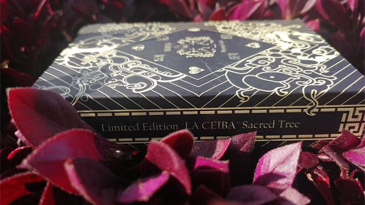 Maya Laceiba Sacred Tree - Image 4