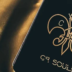 Cristian Pestritu's Soul