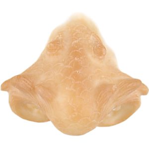 Lateksinenä lohikäärme 304