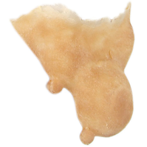 Lateksileuka noita 504