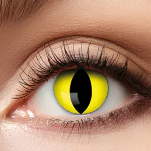 12kk linssit - 601 crazy cat