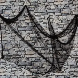 Musta hämähäkinseitti