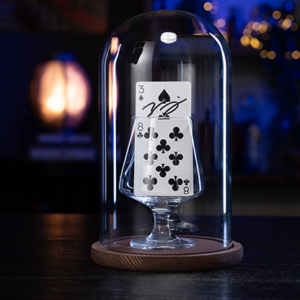 UUSI ! Murphy's Magic Parlor Rising Card