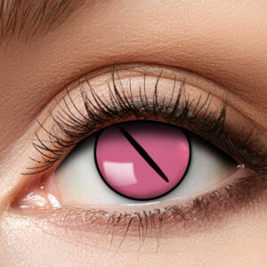 12 kk linssit - Pink Kitten