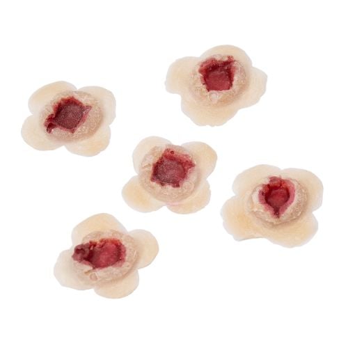 Grimas Latex Wounds -luodinreiät 5 kpl pakkaus